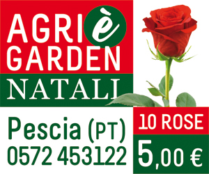 Agri Garden Natali 10 rose 5 euro